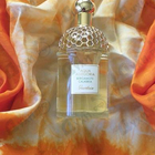 Отзыв Guerlain Aqua Allegoria Bergamote Calabria