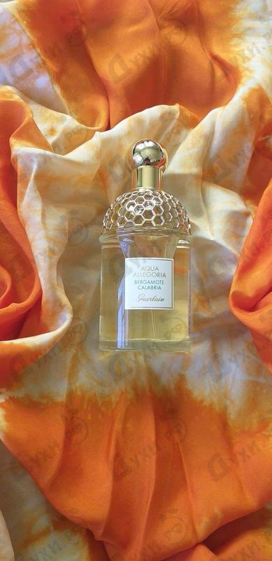 Купить Aqua Allegoria Bergamote Calabria от Guerlain