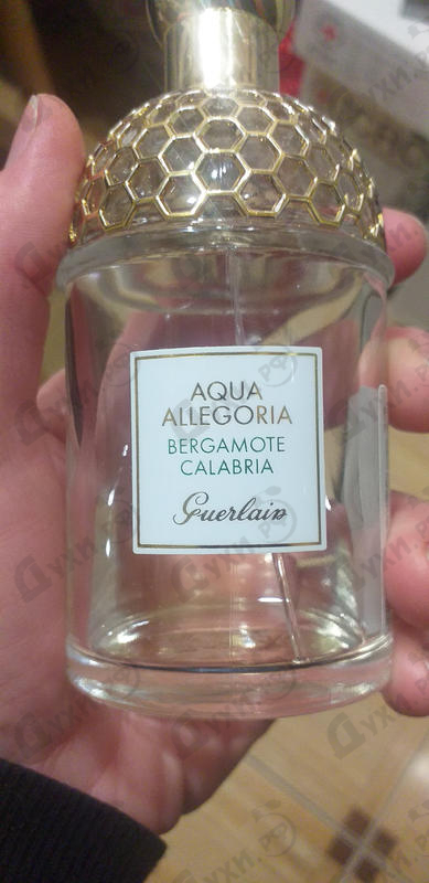 Отзывы Guerlain Aqua Allegoria Bergamote Calabria