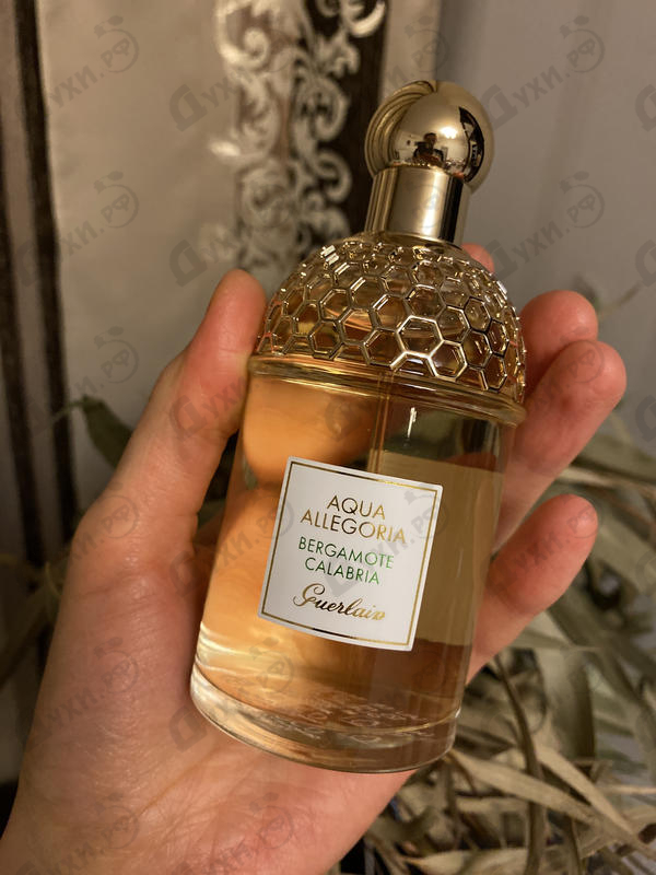 Отзыв Guerlain Aqua Allegoria Bergamote Calabria