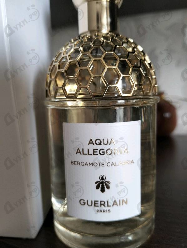 Духи Aqua Allegoria Bergamote Calabria от Guerlain