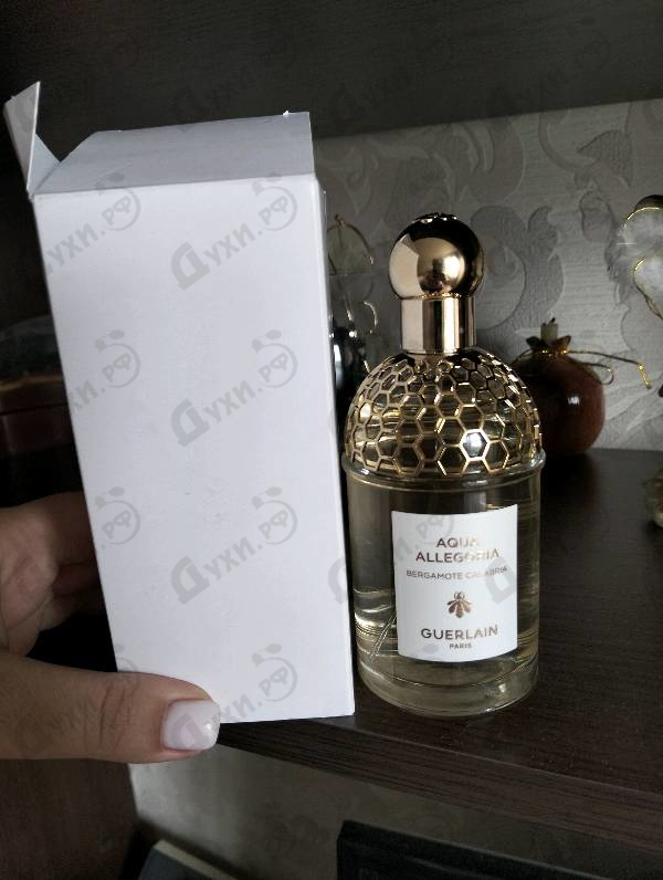 Духи Aqua Allegoria Bergamote Calabria от Guerlain
