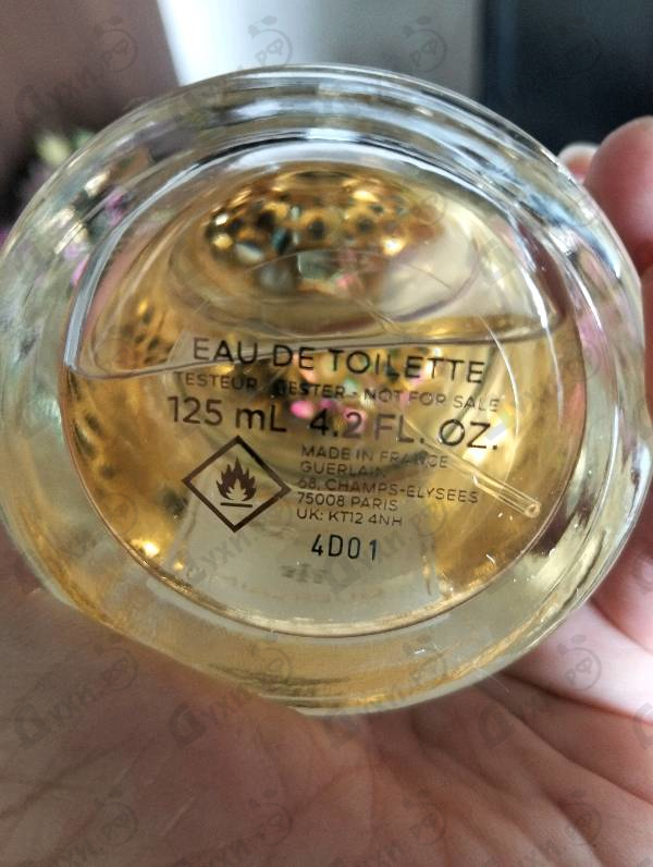Купить Aqua Allegoria Bergamote Calabria от Guerlain