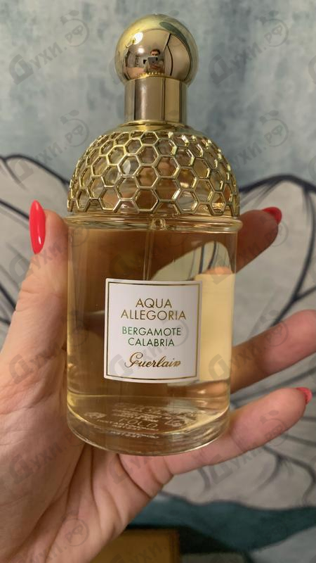 Парфюмерия Aqua Allegoria Bergamote Calabria от Guerlain