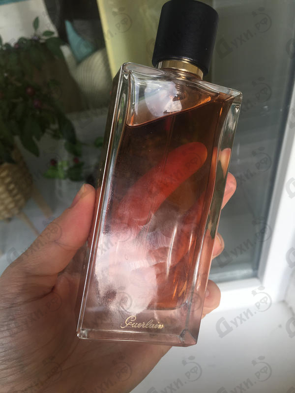 Купить Bois D'armenie от Guerlain