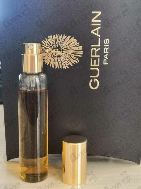 Купить Bois D'armenie от Guerlain