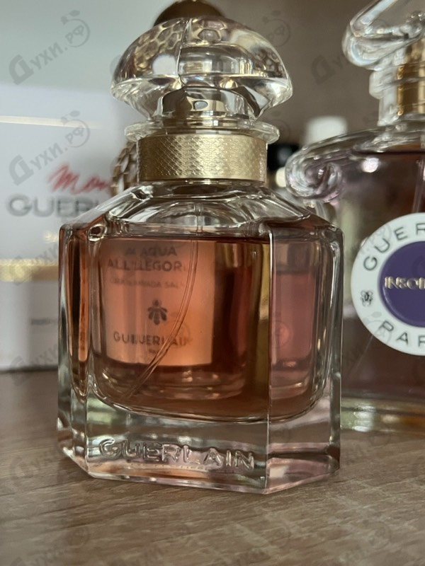 Парфюмерия Mon Guerlain от Guerlain