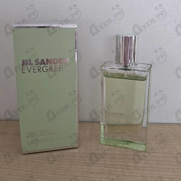 Парфюмерия Evergreen от Jil Sander Отзыв Jil Sander Evergreen