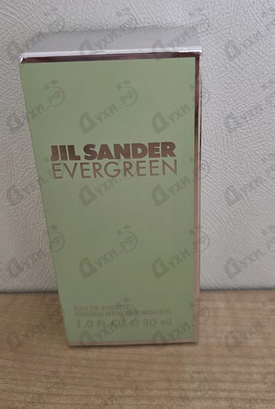 Отзыв Jil Sander Evergreen