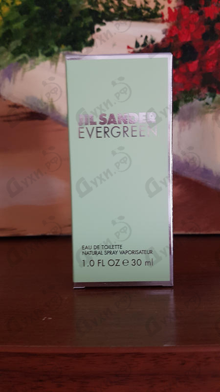 Купить Evergreen от Jil Sander Купить Jil Sander Evergreen