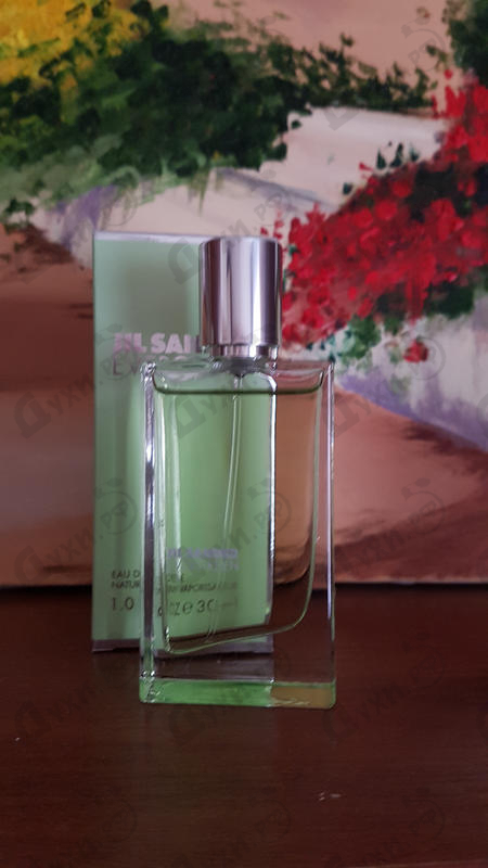 Купить Jil Sander Evergreen Купить Evergreen от Jil Sander