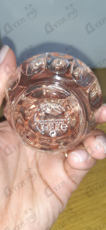 Духи L'eau от Jimmy Choo Отзыв Jimmy Choo L'eau