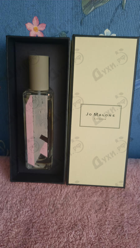 Духи Leather & Artemisia от Jo Malone Отзывы Jo Malone Leather & Artemisia