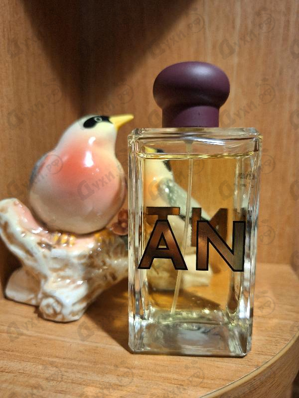 Духи Whisky & Cedarwood от Jo Malone