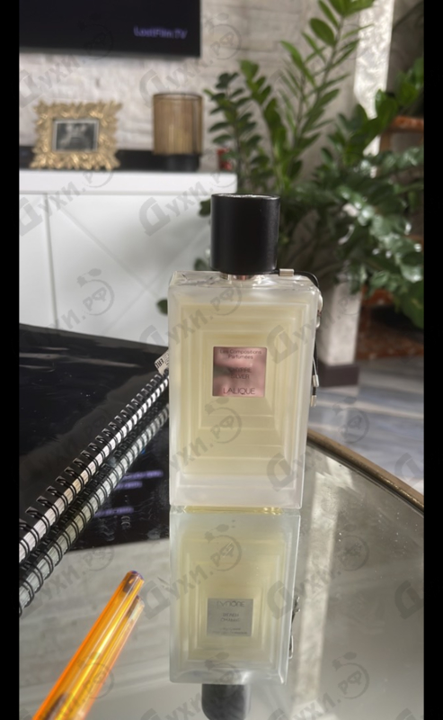Отзывы Lalique Chypre Silver Парфюмерия Chypre Silver от Lalique