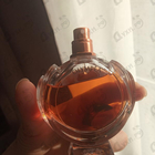 Отзыв Paco Rabanne Olympea Intense