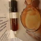Отзыв Paco Rabanne Olympea Intense