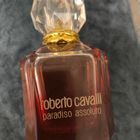 Духи Paradiso Assoluto от Roberto Cavalli