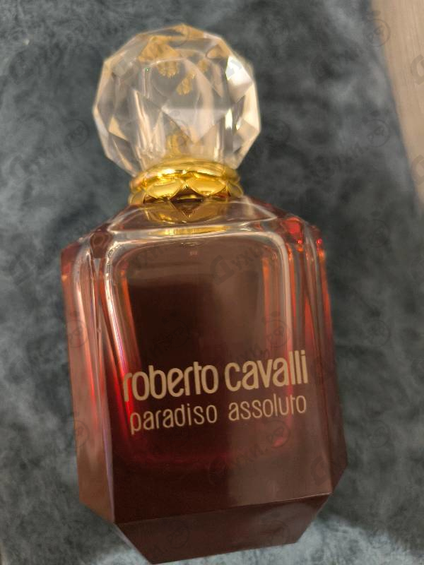 Купить Roberto Cavalli Paradiso Assoluto