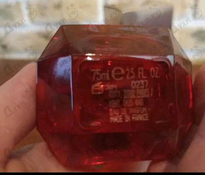 Купить Paradiso Assoluto от Roberto Cavalli