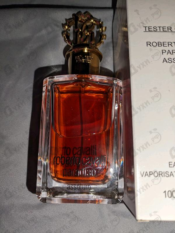 Парфюмерия Paradiso Assoluto от Roberto Cavalli