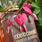 Отзыв Roberto Cavalli Paradiso Assoluto