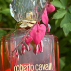 Парфюм Roberto Cavalli Paradiso Assoluto