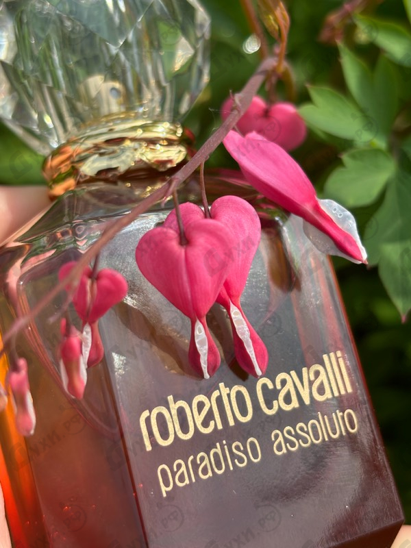 Купить Roberto Cavalli Paradiso Assoluto