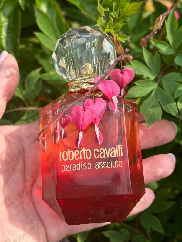 Духи Paradiso Assoluto от Roberto Cavalli