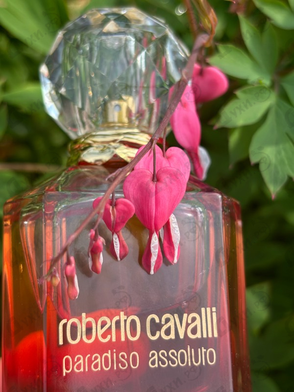 Парфюмерия Roberto Cavalli Paradiso Assoluto