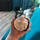 Отзыв Roberto Cavalli Paradiso Assoluto