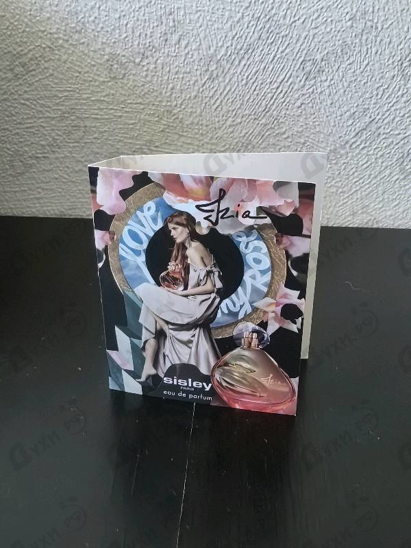 Купить Izia от Sisley