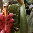 Отзыв Sisley Izia