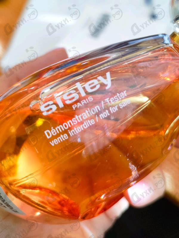 Купить Izia от Sisley