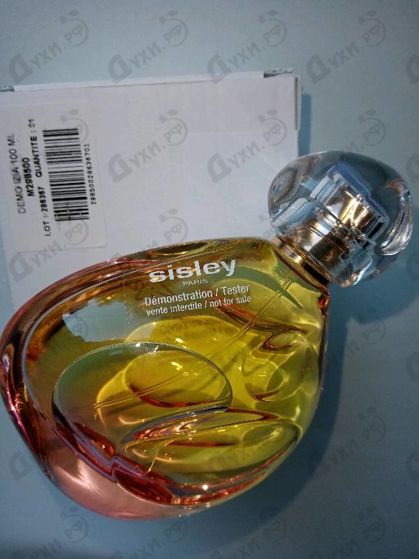 Купить Izia от Sisley