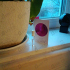 Отзыв Stella Mccartney Pop