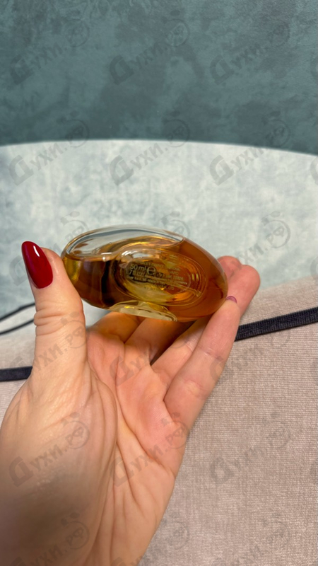 Отзыв Versace Essence Emotional Духи Essence Emotional от Versace