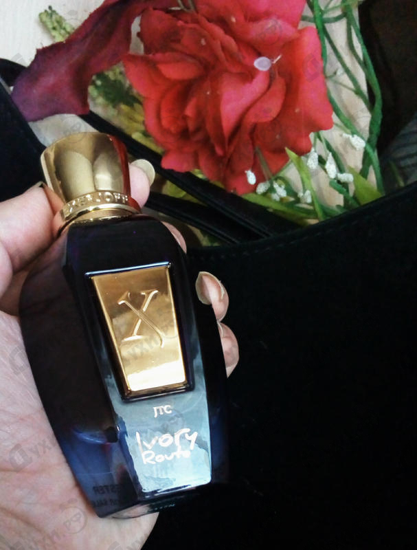 Парфюм Xerjoff Ivory Route Парфюмерия Ivory Route от Xerjoff