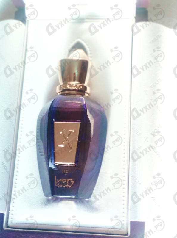 Духи Xerjoff Ivory Route Купить Ivory Route от Xerjoff