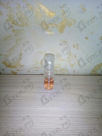 Парфюм Yves Saint Laurent Black Opium Floral Shock Духи Black Opium Floral Shock от Yves Saint Laurent