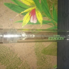 Отзывы Hermes Muguet Porcelaine