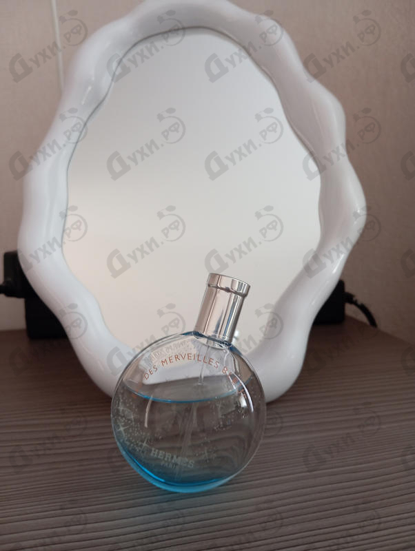 Отзыв Hermes Eau Des Merveilles Bleue