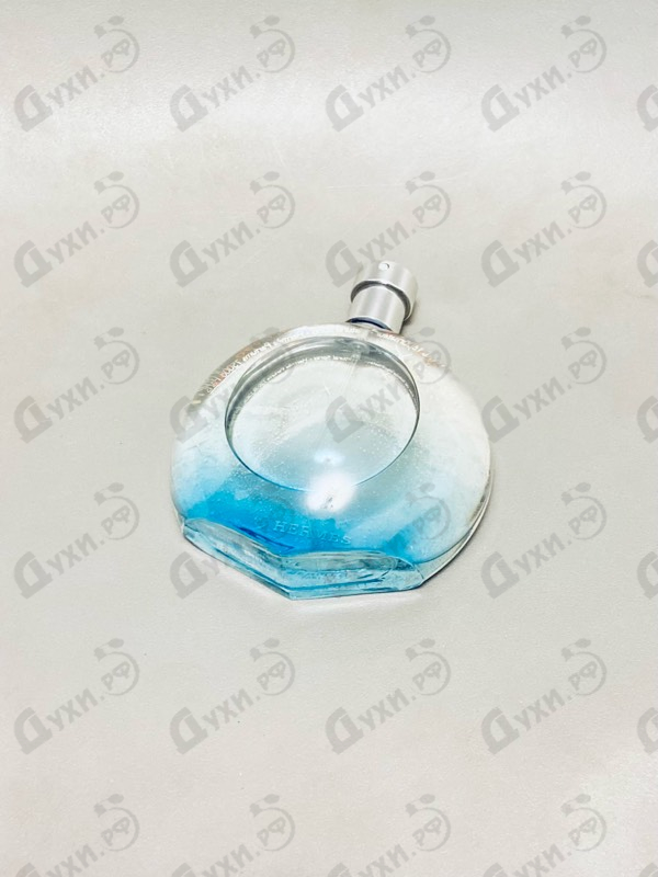 Купить Eau Des Merveilles Bleue от Hermes