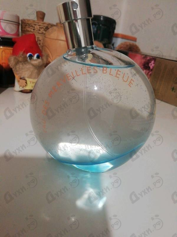 Отзывы Hermes Eau Des Merveilles Bleue