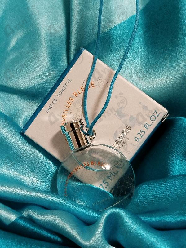 Отзыв Hermes Eau Des Merveilles Bleue