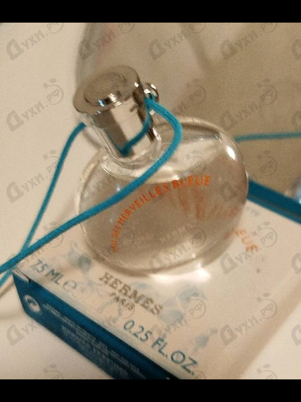 Купить Eau Des Merveilles Bleue от Hermes
