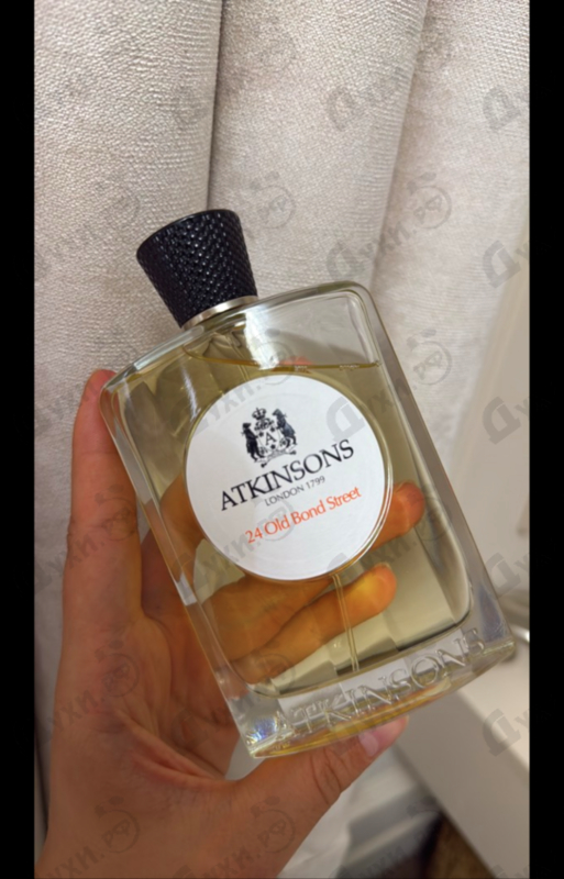 Купить 24 Old Bond Street от Atkinsons