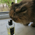 Парфюм Mancera Aoud Orchid