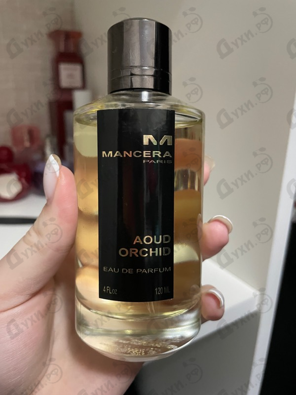 Купить Aoud Orchid от Mancera