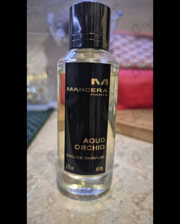 Духи Aoud Orchid от Mancera